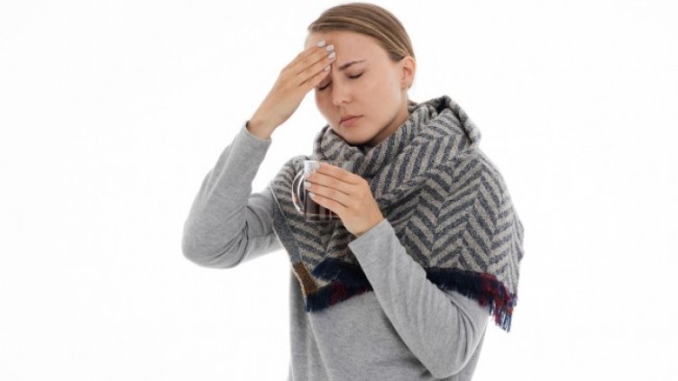 Снимка: Pixabey