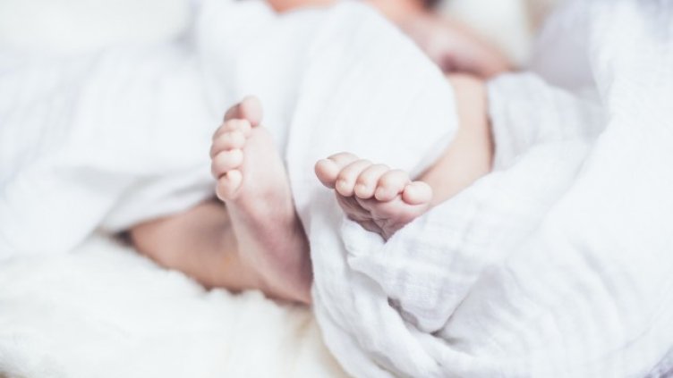 Снимка: Pixabay