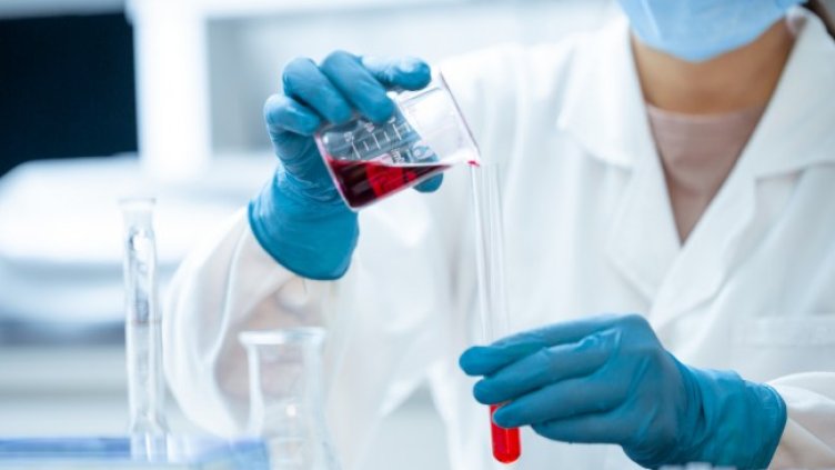 Снимка: Pixabay