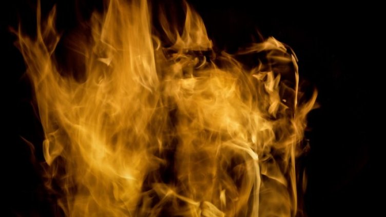 Снимка: Pixabay