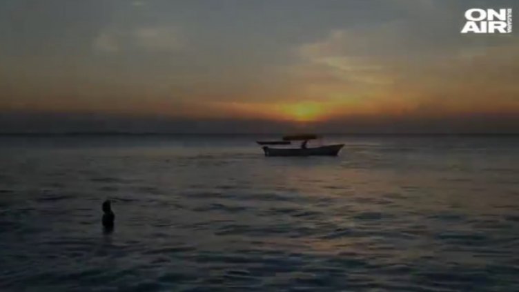 Снимка: Bulgaria ON AIR