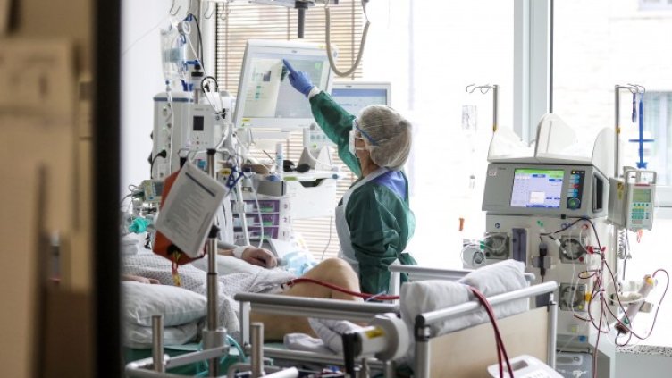 Снимка: БГНЕС