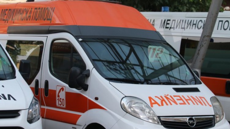 Снимка: архив, БГНЕС