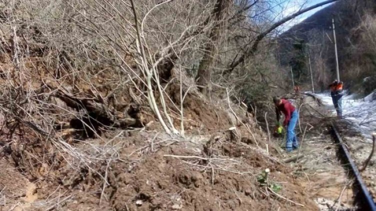 Снимка: НКЖИ