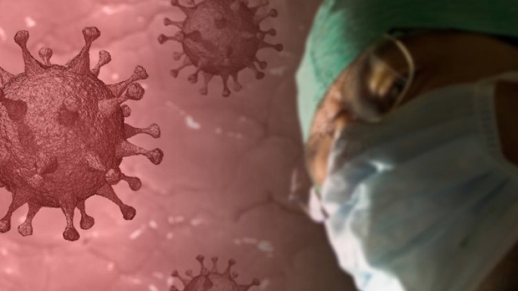 Снимка: Pixabay