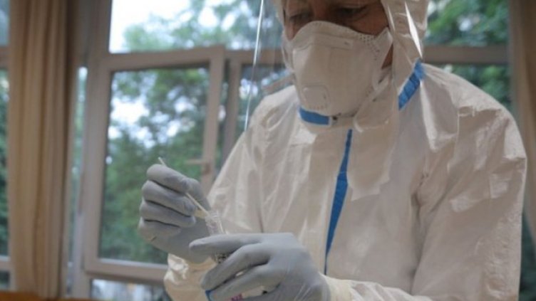 Снимка:Димитър Кьосемарлиев, Dnes.bg