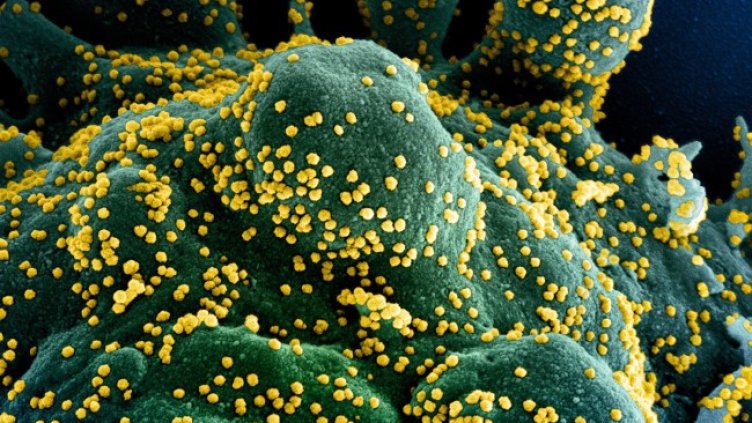 Снимка: архив, БГНЕС