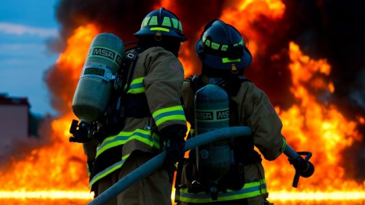 Снимка: Pixabay