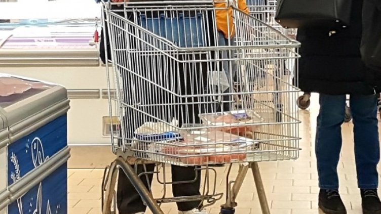 Снимка: архив, БГНЕС