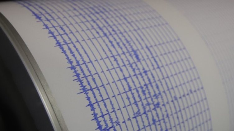 Снимка: архив, БГНЕС