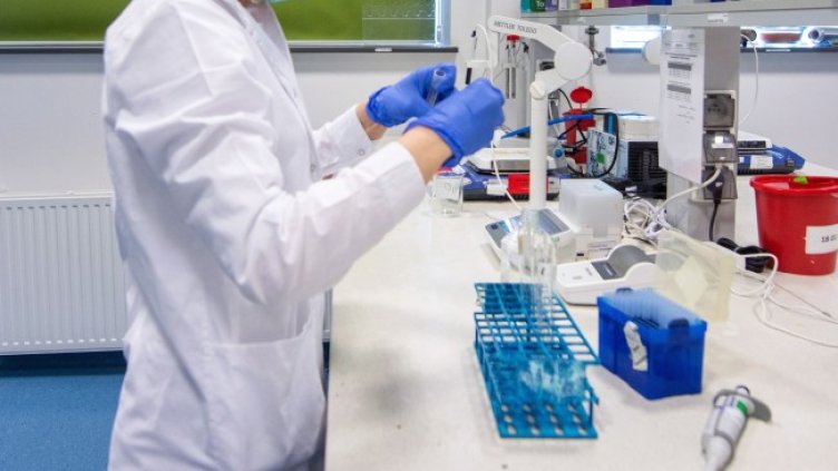 Снимка: архив, БГНЕС