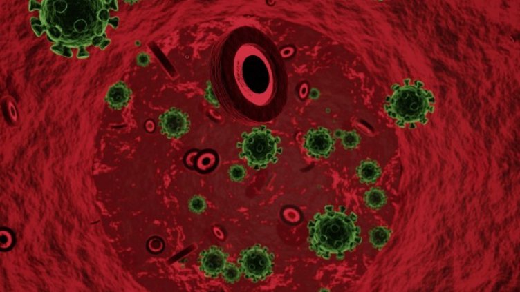 Снимка: Pixabay