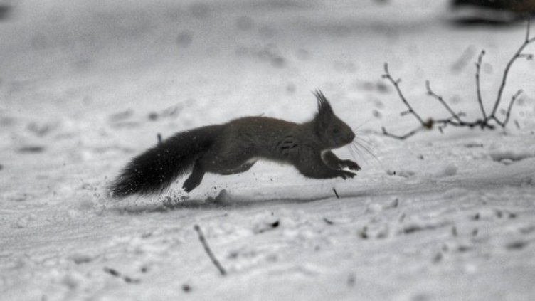 Снимка: Димитър Кьосемарлиев, Dnes.bg