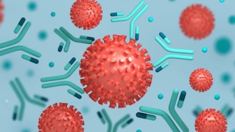 Снимка: УМБАЛСМ "Н.И.Пирогов"