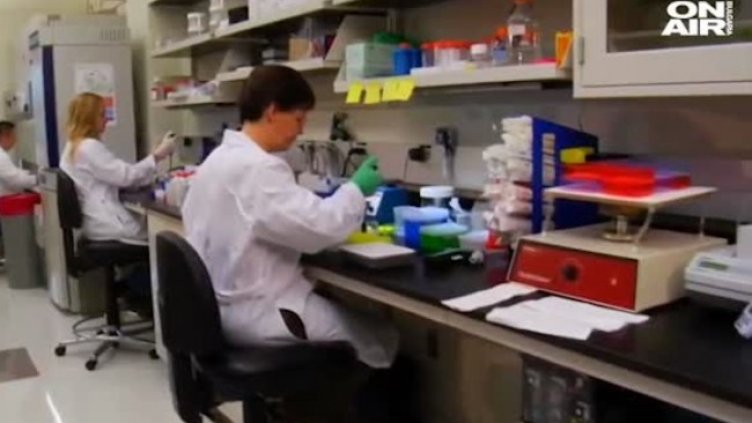 Снимка: Bulgaria ON AIR