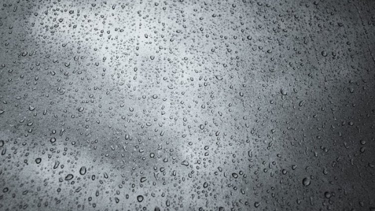 Снимка: Pixabay