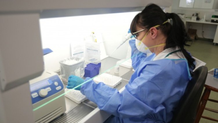 Снимка: Димитър Кьосемарлиев, Dnes.bg