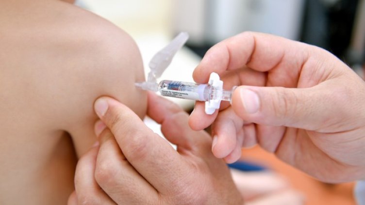 Снимка: архив, БГНЕС