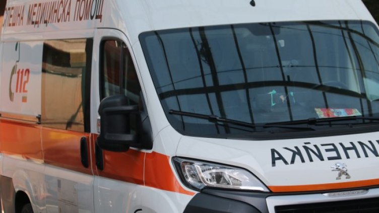 Снимка: архив, БГНЕС