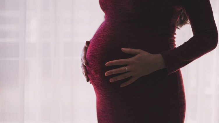 Снимка: Pixabay