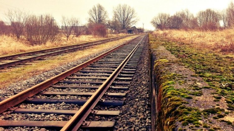 Снимка: Pixabay