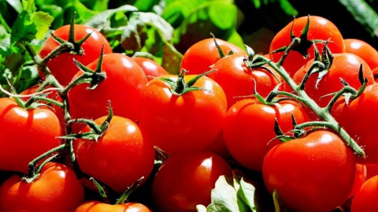 Снимка: Pixabay