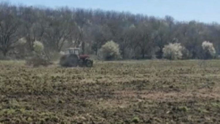 Снимка: Кадър БНТ