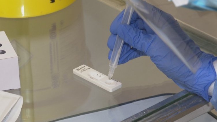 Снимка: архив, БГНЕС