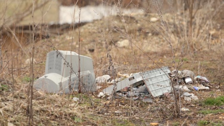 Снимка: БГНЕС