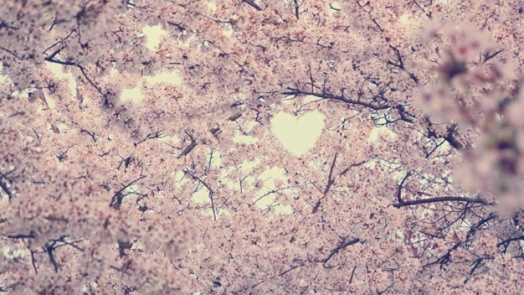 Снимка: Pixabay