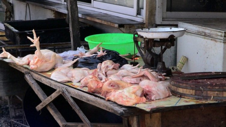 Снимка: Pixabay