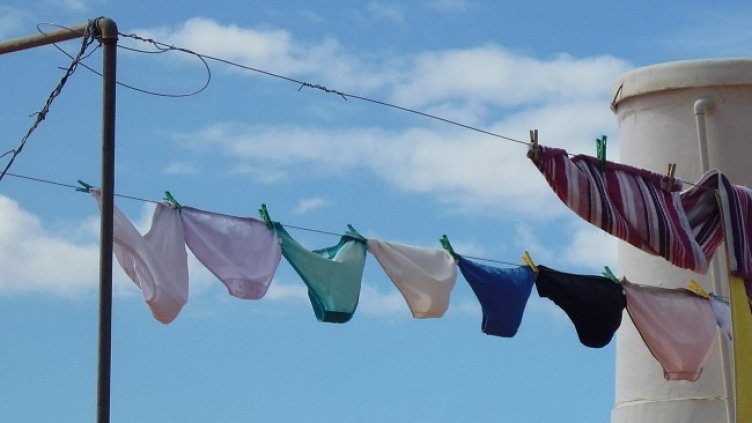 Снимка: Pixabay