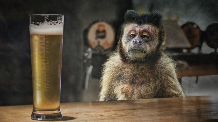 Снимка: Pixabey