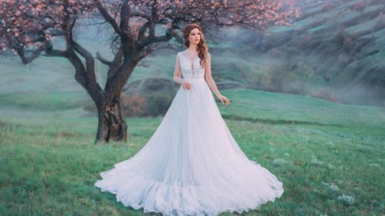 Снимка: istock