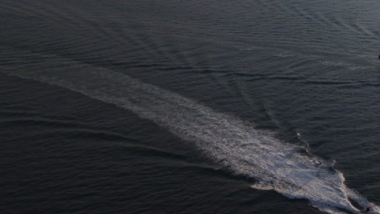 Снимка: БГНЕС, архив