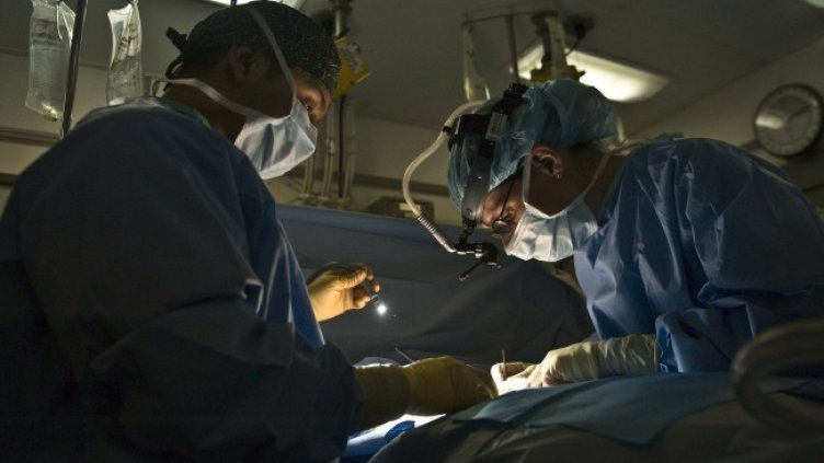 Снимка: Pixabay