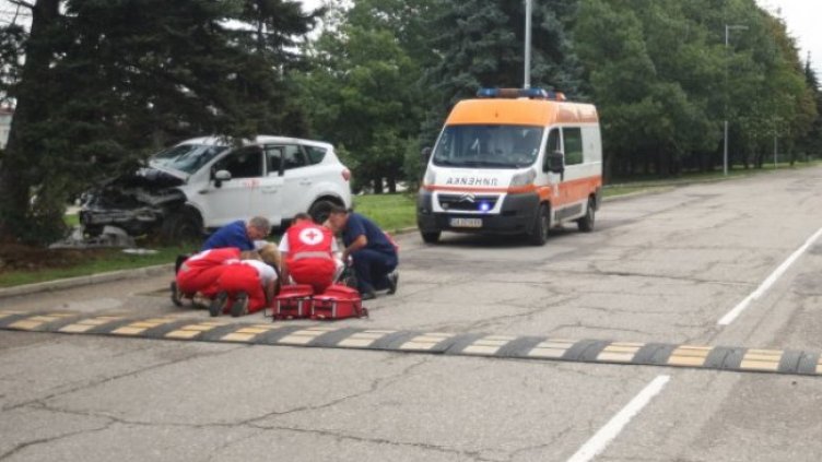 Снимка: Димитър Кьосемарлиев, Dnes.bg, архив