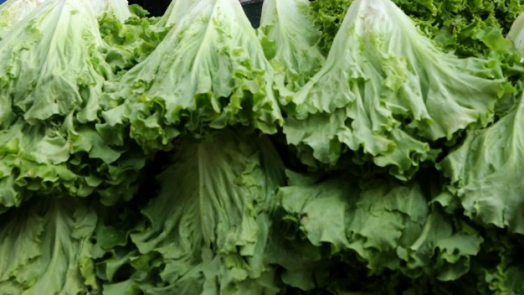 Снимка: архив, БГНЕС