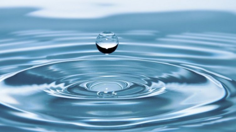 Снимка: Pixabay