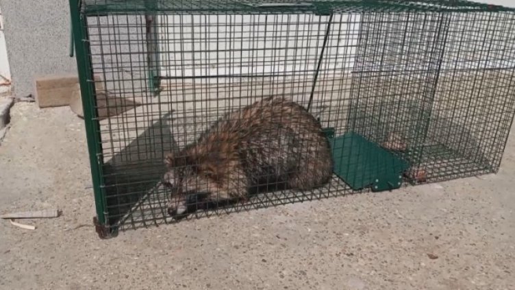 Снимка: БНТ