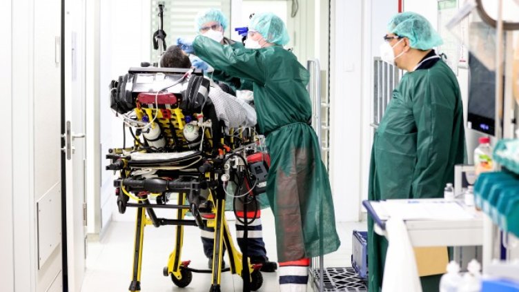 Снимка: архив, БГНЕС