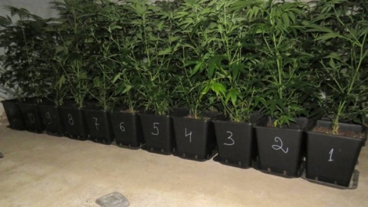 Снимка: БНТ