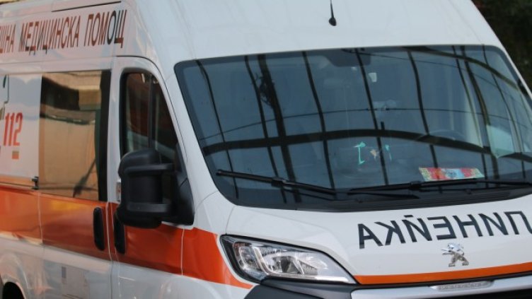 Снимка: архив, БГНЕС