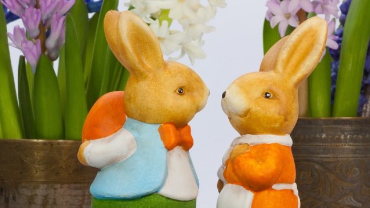 Снимка: Pixabay