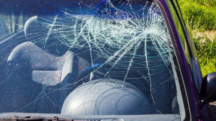 Снимка: Pixabay