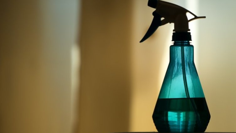 Снимка: Pixabay