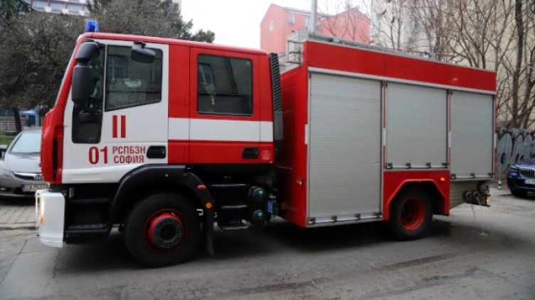 Снимка: БГНЕС