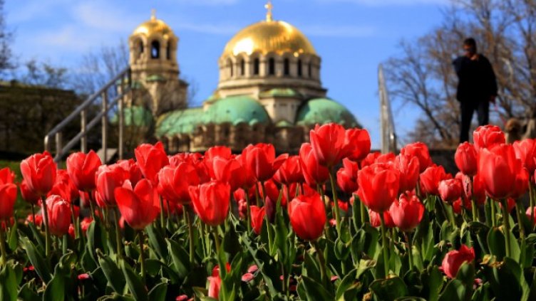 Снимка: БГНЕС