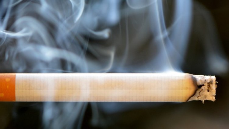 Снимка: Pixabay