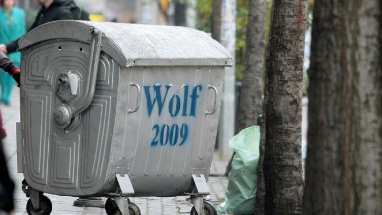 Снимка: БГНЕС